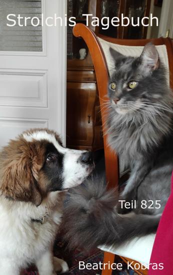 Strolchis Tagebuch - Teil 825 - cover