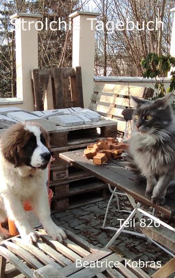 Strolchis Tagebuch - Teil 826 - cover