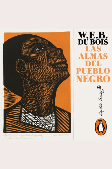 Las almas del pueblo negro - cover
