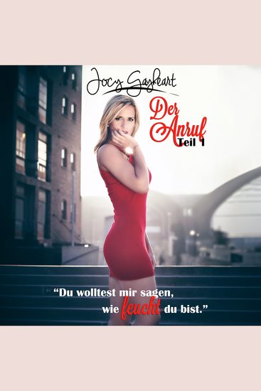 Der Anruf - Teil 1 - "Du wolltest mir sagen wie feucht du bist" - cover