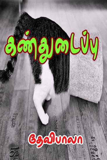 கண்துடைப்பு - cover