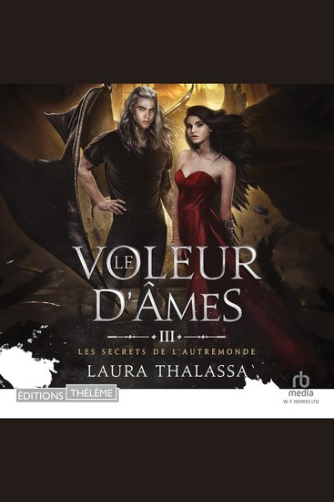 Le voleur d'âmes: Les secrets de l'AutreMonde T3 - Les secrets de l'AutreMonde T3 - cover