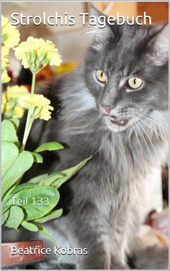 Strolchis Tagebuch - Teil 133 - cover