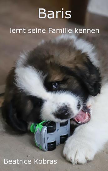 Baris - lernt seine Familie kennen - Teil 1 - cover