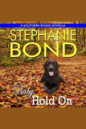 Baby Hold On - cover