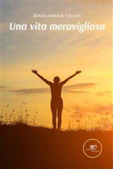 Una vita meravigliosa - cover