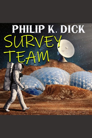 Survey Team - cover