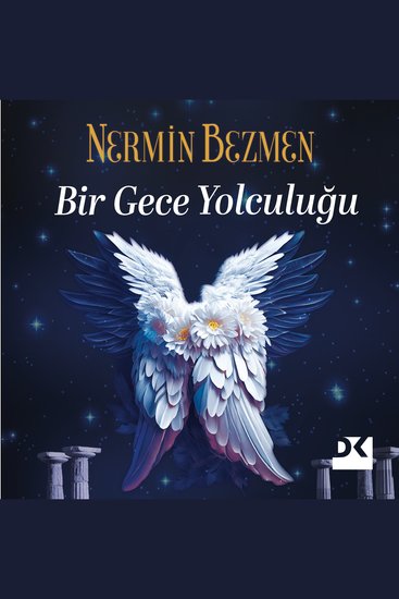 Bir Gece Yolculuğu - cover