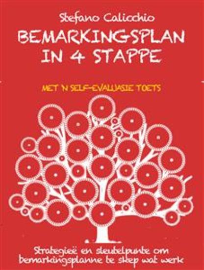 Bemarkingsplan in 4 stappe - Strategieë en sleutelpunte om bemarkingsplanne te skep wat werk - cover