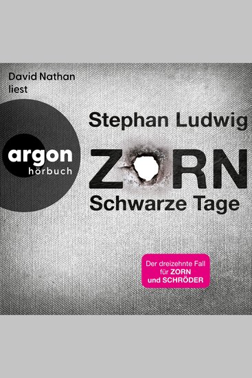 Schwarze Tage - Zorn Band 13 (Ungekürzte Lesung) - cover