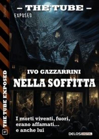 Nella soffitta - cover