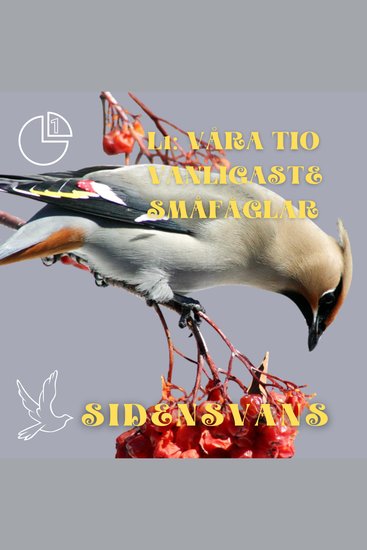 Sidensvans - Våra tio vanligaste småfåglar - cover