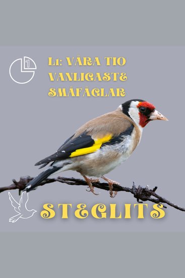 Steglits - Våra tio vanligaste småfåglar - cover