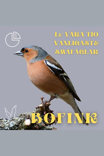 Bofink - Våra tio vanligaste småfåglar - cover