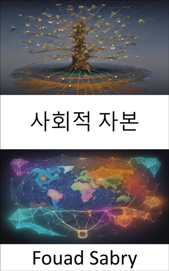 사회적 자본 - 사회적 자본 개인적 및 사회적 성공을 위한 더욱 강력한 연결 구축 - cover