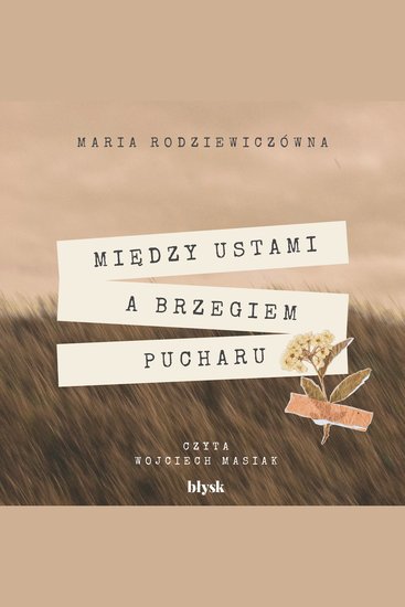 Między ustami a brzegiem pucharu - cover