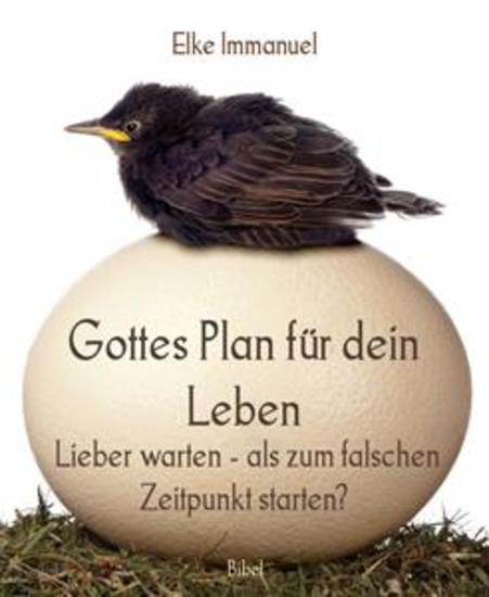Gottes Plan für dein Leben - Lieber warten - als zum falschen Zeitpunkt starten? - cover