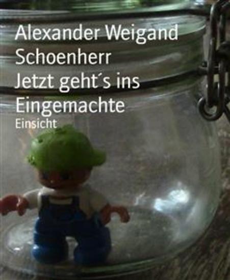 Jetzt geht´s ins Eingemachte - Einsicht - cover