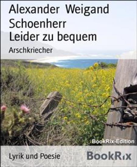 Leider zu bequem - Arschkriecher - cover