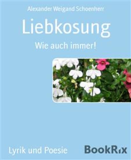 Liebkosung - Wie auch immer! - cover