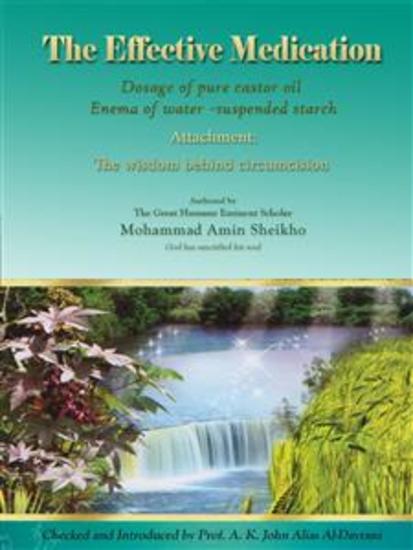 The Effective Medication - Attachment: the wisdom behind circumcision - cover