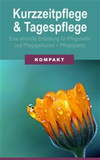 Kurzzeitpflege & Tagespflege - Eine sinnvolle Entlastung für Pflegehelfer & Pflegepersonen + Pflegegesetz 2017 - cover