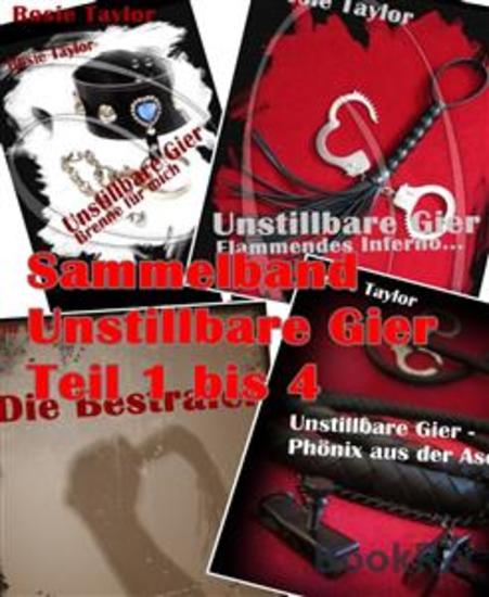 Sammelband Unstillbare Gier Teil 1 bis 4 - cover