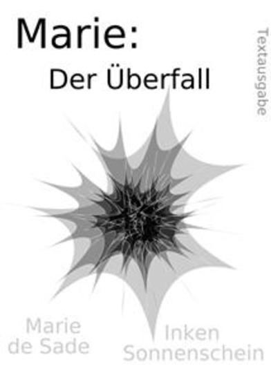 Marie: Der Überfall - Textausgabe - cover