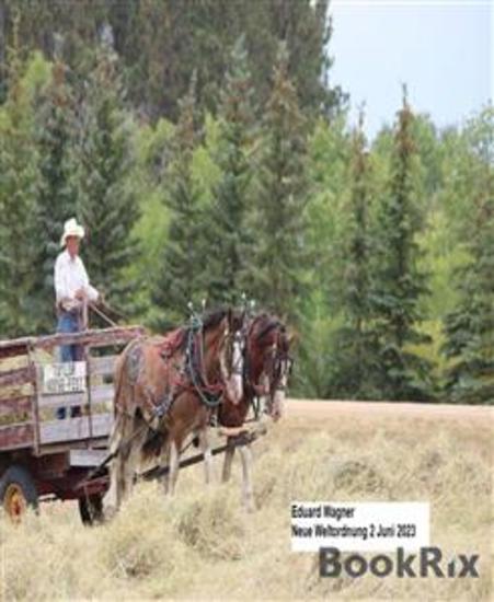 Neue Weltordnung 2 Juni 2023 - cover