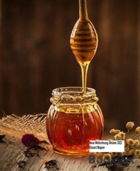 Neue Weltordnung 2023 Oktober - cover