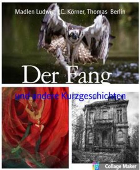 Der Fang - und andere Kurzgeschichten - cover