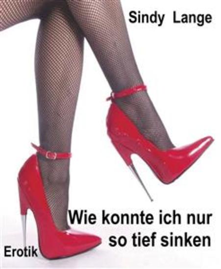 Wie konnte ich nur so tief sinken - Mein Absturz vom Luxus in einen Bauwagen - cover