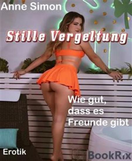 Stille Vergeltung - Wie gut dass es Freunde gibt - cover