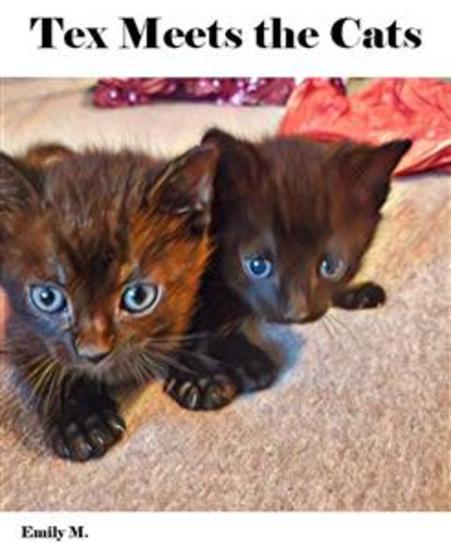 Big Tex & Friends: Tex Meets the Cats - Water Color Style - cover