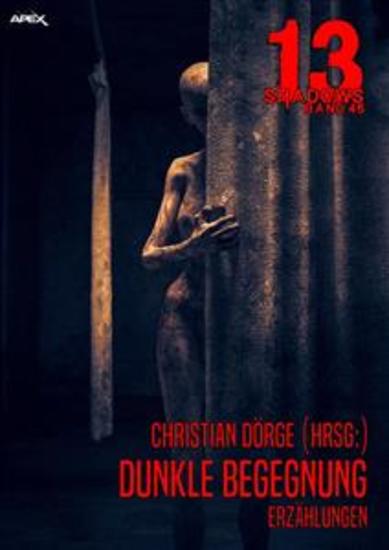 13 SHADOWS Band 46: DUNKLE BEGEGNUNG - Horror aus dem Apex-Verlag! - cover