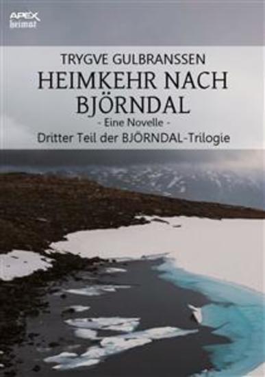 HEIMKEHR NACH BJÖRNDAL - EINE NOVELLE - Dritter Teil der BJÖRNDAL-Trilogie - cover