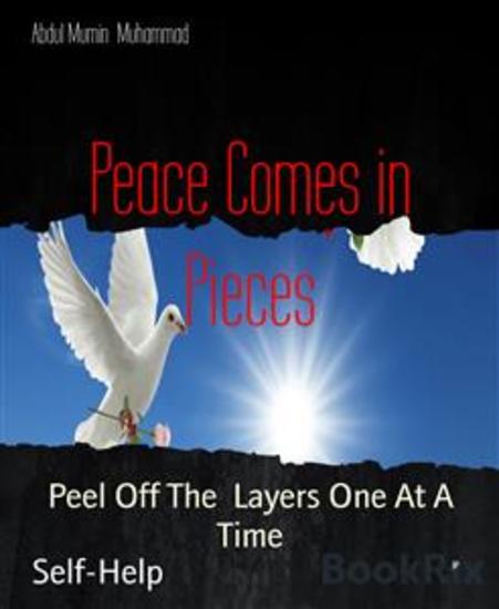 Peace Comes in Pieces - Peel Off The Layers One At A Time - cover