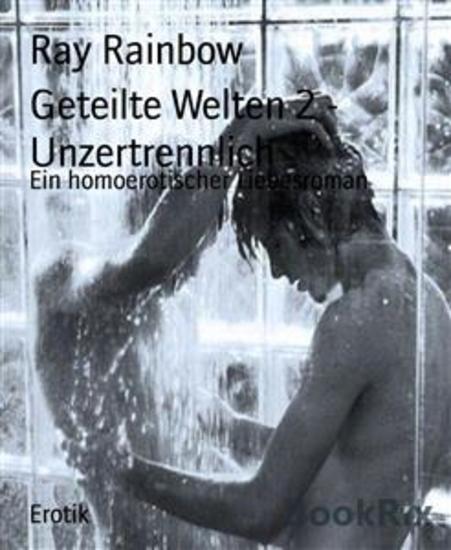 Geteilte Welten 2 - Unzertrennlich - Ein homoerotischer Liebesroman - cover