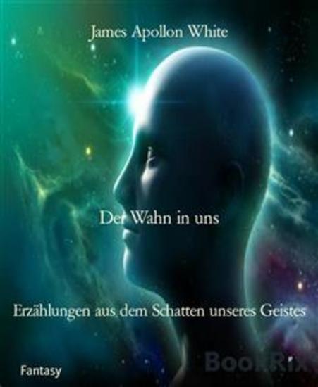 Der Wahn in uns - Erzählungen aus dem Schatten unseres Geistes - cover