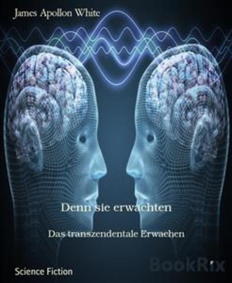 Denn sie erwachten - Das transzendentale Erwachen - cover