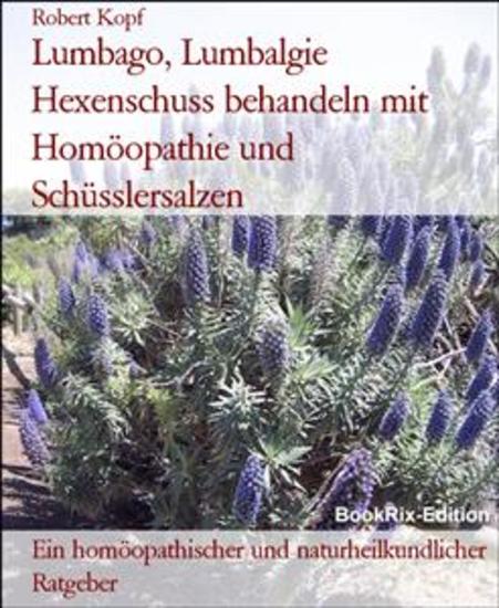 Lumbago Lumbalgie Hexenschuss behandeln mit Homöopathie und Schüsslersalzen - Ein homöopathischer und naturheilkundlicher Ratgeber - cover