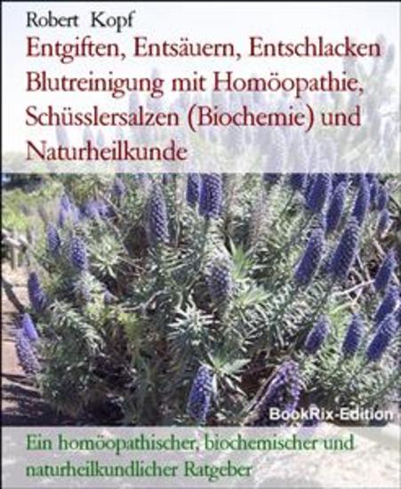 Entgiften Entsäuern Entschlacken Blutreinigung mit Homöopathie Schüsslersalzen (Biochemie) und Naturheilkunde - Ein homöopathischer biochemischer und naturheilkundlicher Ratgeber - cover
