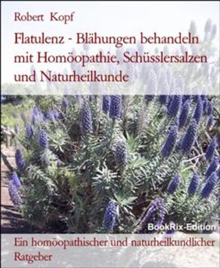 Flatulenz - Blähungen behandeln mit Homöopathie Schüsslersalzen und Naturheilkunde - Ein homöopathischer und naturheilkundlicher Ratgeber - cover