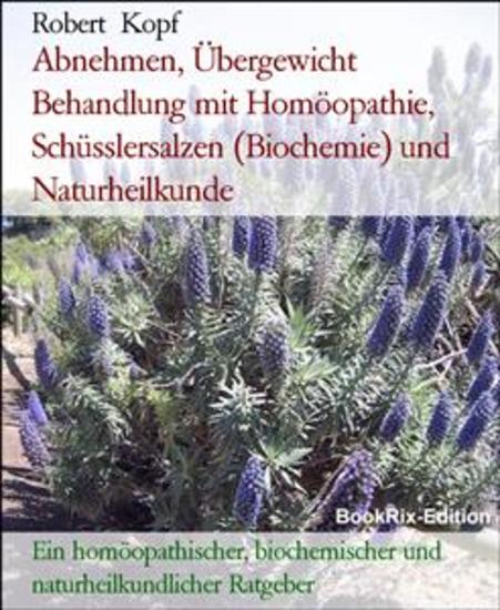 Abnehmen Übergewicht Behandlung mit Homöopathie Schüsslersalzen (Biochemie) und Naturheilkunde - Ein homöopathischer biochemischer und naturheilkundlicher Ratgeber - cover
