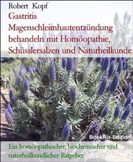Gastritis Magenschleimhautentzündung behandeln mit Homöopathie Schüsslersalzen und Naturheilkunde - Ein homöopathischer biochemischer und naturheilkundlicher Ratgeber - cover