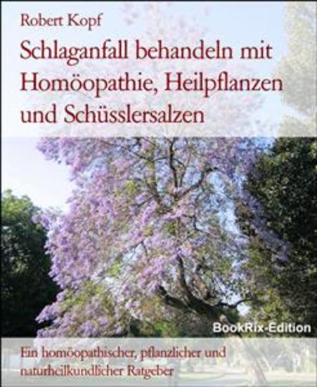Schlaganfall behandeln mit Homöopathie Heilpflanzen und Schüsslersalzen - Ein homöopathischer pflanzlicher und naturheilkundlicher Ratgeber - cover