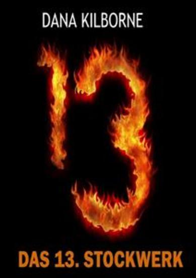 Das 13 Stockwerk - cover