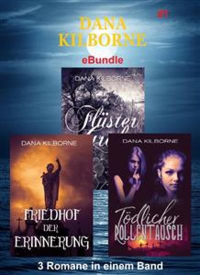 Dana Kilborne ebundle #1 - 3 Romane in einem Band - cover