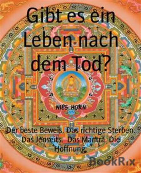 Gibt es ein Leben nach dem Tod? - Der beste Beweis Das richtige Sterben Das Jenseits Das Mantra Die Hoffnung - cover