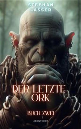 Der letzte Ork - 2 Buch - cover